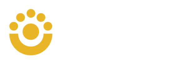 ConnectElements Logo